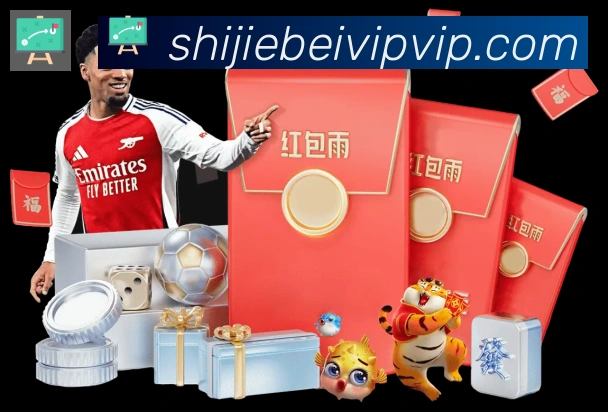 美加墨世界杯数据官方网站服务体系